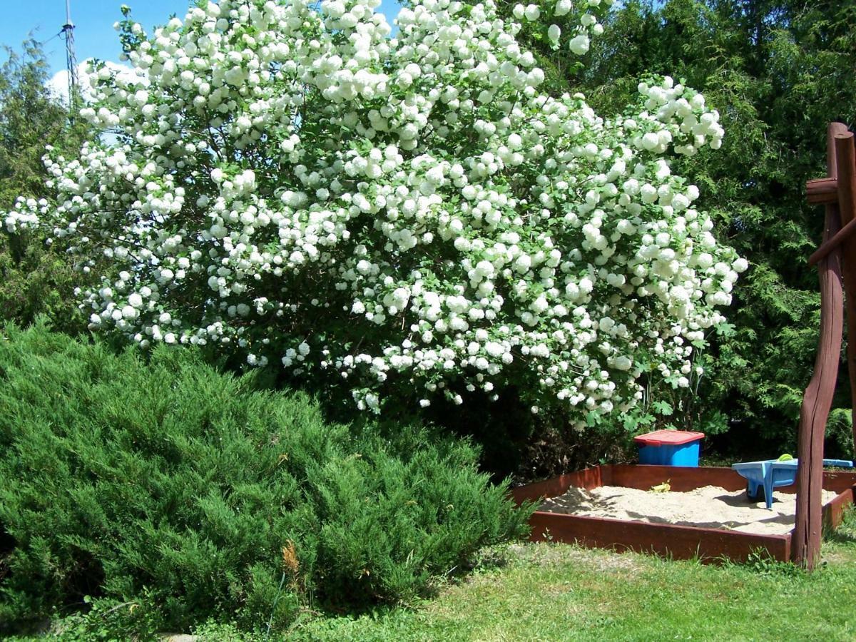 Agrohotelik-Gospodarstwo Agroturystyczne Мронгово Екстериор снимка